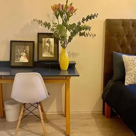 Amazing Cozy Apartment In Condesa