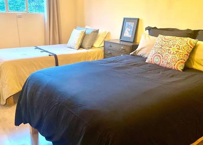 Apartamento Amazing Cozy In Condesa *