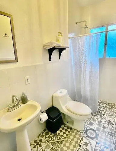 Amazing Cozy In Condesa *