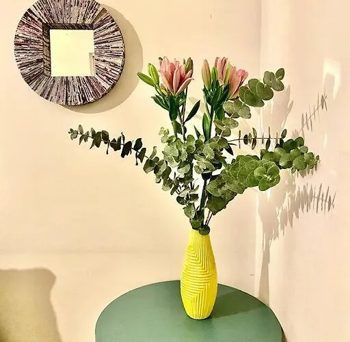 Amazing Cozy In Condesa